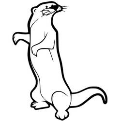 Dessin à colorier: Furet (Animaux) #205411 - Coloriages à Imprimer Gratuits