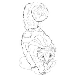 Dessin à colorier: Furet (Animaux) #205412 - Coloriages à Imprimer Gratuits
