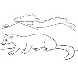Dessin à colorier: Furet (Animaux) #205415 - Coloriages à Imprimer Gratuits