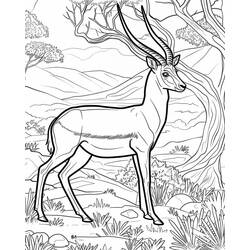 Dessin à colorier: Gazelle (Animaux) #219904 - Coloriages à Imprimer Gratuits