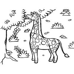 Coloriage Girafe (Animaux) #177581 à imprimer et colorier
