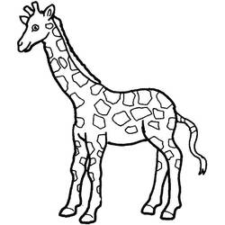 Coloriage Girafe (Animaux) #177582 à imprimer et colorier