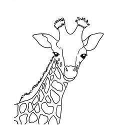 Coloriage Girafe (Animaux) #177599 à imprimer et colorier