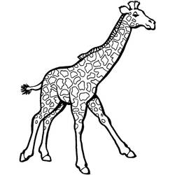 Coloriage Girafe (Animaux) #177600 à imprimer et colorier