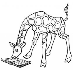 Coloriage Girafe (Animaux) #177602 à imprimer et colorier
