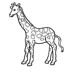 Coloriage Girafe (Animaux) #177606 à imprimer et colorier