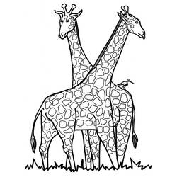 Coloriage Girafe (Animaux) #177609 à imprimer et colorier