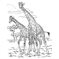 Coloriage Girafe (Animaux) #177610 à imprimer et colorier