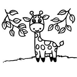 Coloriage Girafe (Animaux) #177612 à imprimer et colorier