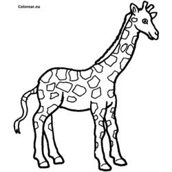 Dessins à colorier: Girafe - Coloriages à imprimer