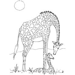 Dessin à colorier: Girafe (Animaux) #7302 - Coloriages à Imprimer Gratuits