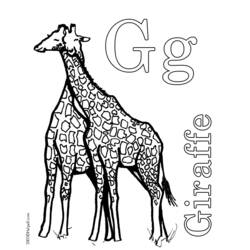 Dessin à colorier: Girafe (Animaux) #7316 - Coloriages à Imprimer Gratuits