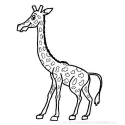 Dessin à colorier: Girafe (Animaux) #7386 - Coloriages à Imprimer Gratuits