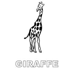 Dessin à colorier: Girafe (Animaux) #7398 - Coloriages à Imprimer Gratuits