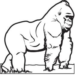 Dessin à colorier: Gorille (Animaux) #188929 - Coloriages à Imprimer Gratuits