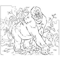 Dessin à colorier: Gorille (Animaux) #7455 - Coloriages à Imprimer Gratuits