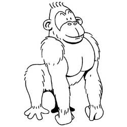 Dessins à colorier: Gorille - Coloriages à Imprimer Gratuits