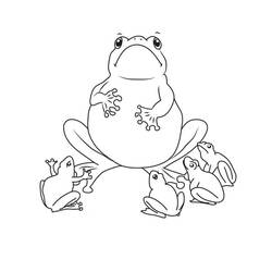 Coloriage Grenouille (Animaux) #187292 à imprimer et colorier