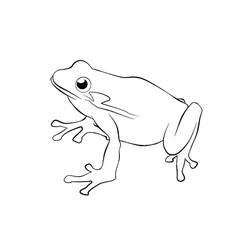 Coloriage Grenouille (Animaux) #187293 à imprimer et colorier