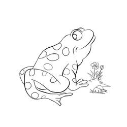 Coloriage Grenouille (Animaux) #187304 à imprimer et colorier