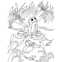 Coloriage Grenouille (Animaux) #187324 à imprimer et colorier