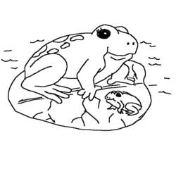 Dessin à colorier: Grenouille (Animaux) #7715 - Coloriages à Imprimer Gratuits