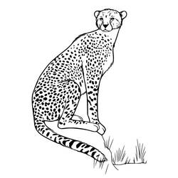 Dessin à colorier: Guépard (Animaux) #188876 - Coloriages à Imprimer Gratuits