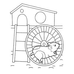 Coloriage Hamster (Animaux) #188809 à imprimer et colorier
