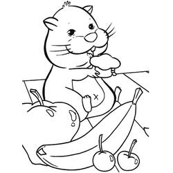Coloriage Hamster (Animaux) #188810 à imprimer et colorier