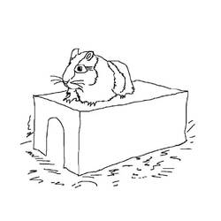 Coloriage Hamster (Animaux) #188839 à imprimer et colorier