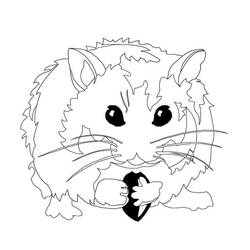 Coloriage Hamster (Animaux) #188841 à imprimer et colorier
