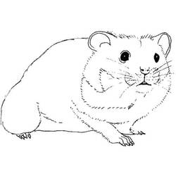 Coloriage Hamster (Animaux) #188843 à imprimer et colorier