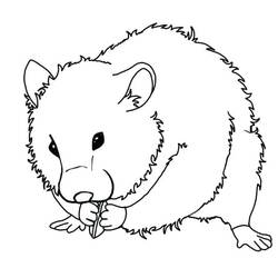 Coloriage Hamster (Animaux) #188852 à imprimer et colorier