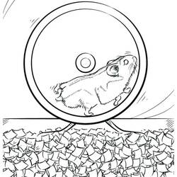 Coloriage Hamster (Animaux) #188853 à imprimer et colorier