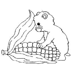 Dessin à colorier: Hamster (Animaux) #8021 - Coloriages à Imprimer Gratuits