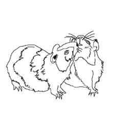 Dessin à colorier: Hamster (Animaux) #8023 - Coloriages à Imprimer Gratuits