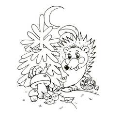 Dessin à colorier: Hérisson (Animaux) #190574 - Coloriages à Imprimer Gratuits