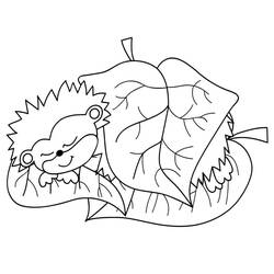 Dessin à colorier: Hérisson (Animaux) #190594 - Coloriages à Imprimer Gratuits