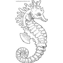 Dessin à colorier: Hippocampe (Animaux) #18611 - Coloriages à imprimer