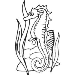Dessin à colorier: Hippocampe (Animaux) #18632 - Coloriages à imprimer