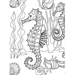 Dessin à colorier: Hippocampe (Animaux) #18718 - Coloriages à imprimer