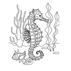 Coloriage Hippocampe (Animaux) #187423 à imprimer et colorier