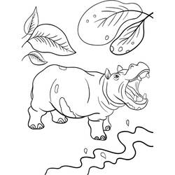 Coloriage Hippopotame (Animaux) #189007 à imprimer et colorier