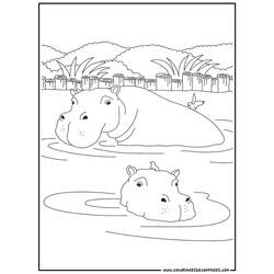 Dessin à colorier: Hippopotame (Animaux) #8633 - Coloriages à imprimer