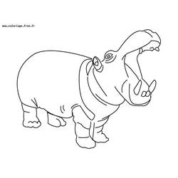 Dessin à colorier: Hippopotame (Animaux) #8663 - Coloriages à imprimer