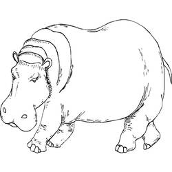 Dessin à colorier: Hippopotame (Animaux) #8665 - Coloriages à imprimer