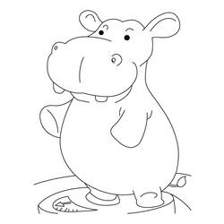 Dessin à colorier: Hippopotame (Animaux) #8681 - Coloriages à imprimer