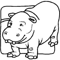 Dessin à colorier: Hippopotame (Animaux) #8682 - Coloriages à Imprimer Gratuits