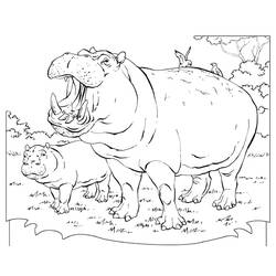 Dessin à colorier: Hippopotame (Animaux) #8690 - Coloriages à imprimer