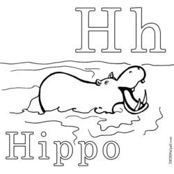 Dessin à colorier: Hippopotame (Animaux) #8723 - Coloriages à Imprimer Gratuits